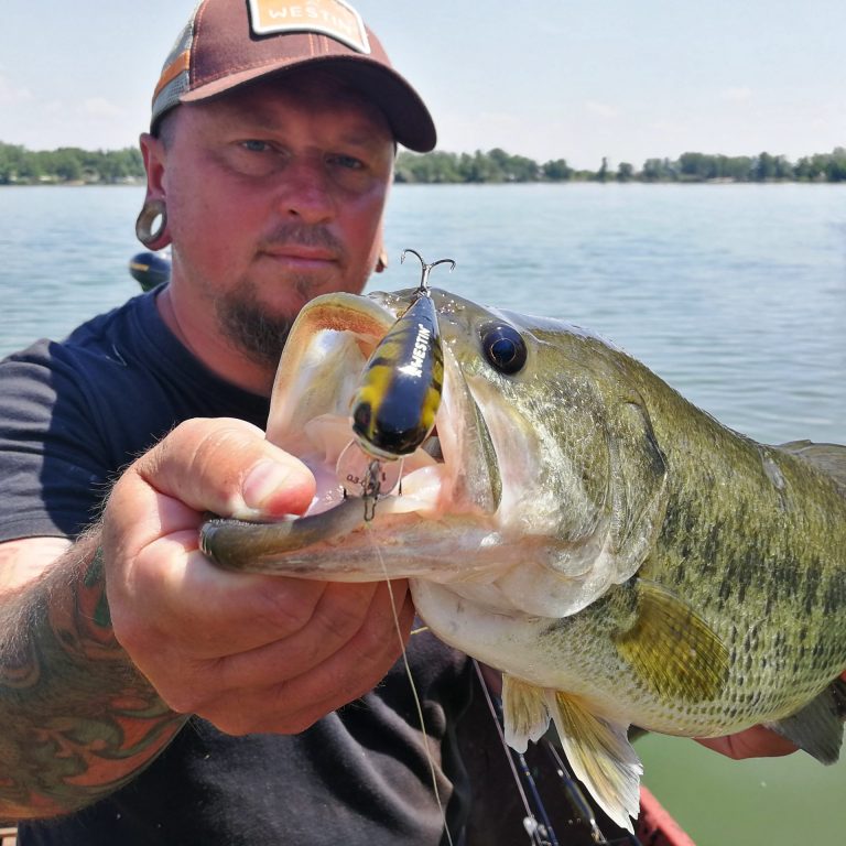 Read more about the article „Kis duci veszedelem” – Westin Fatbite 5,5 cm