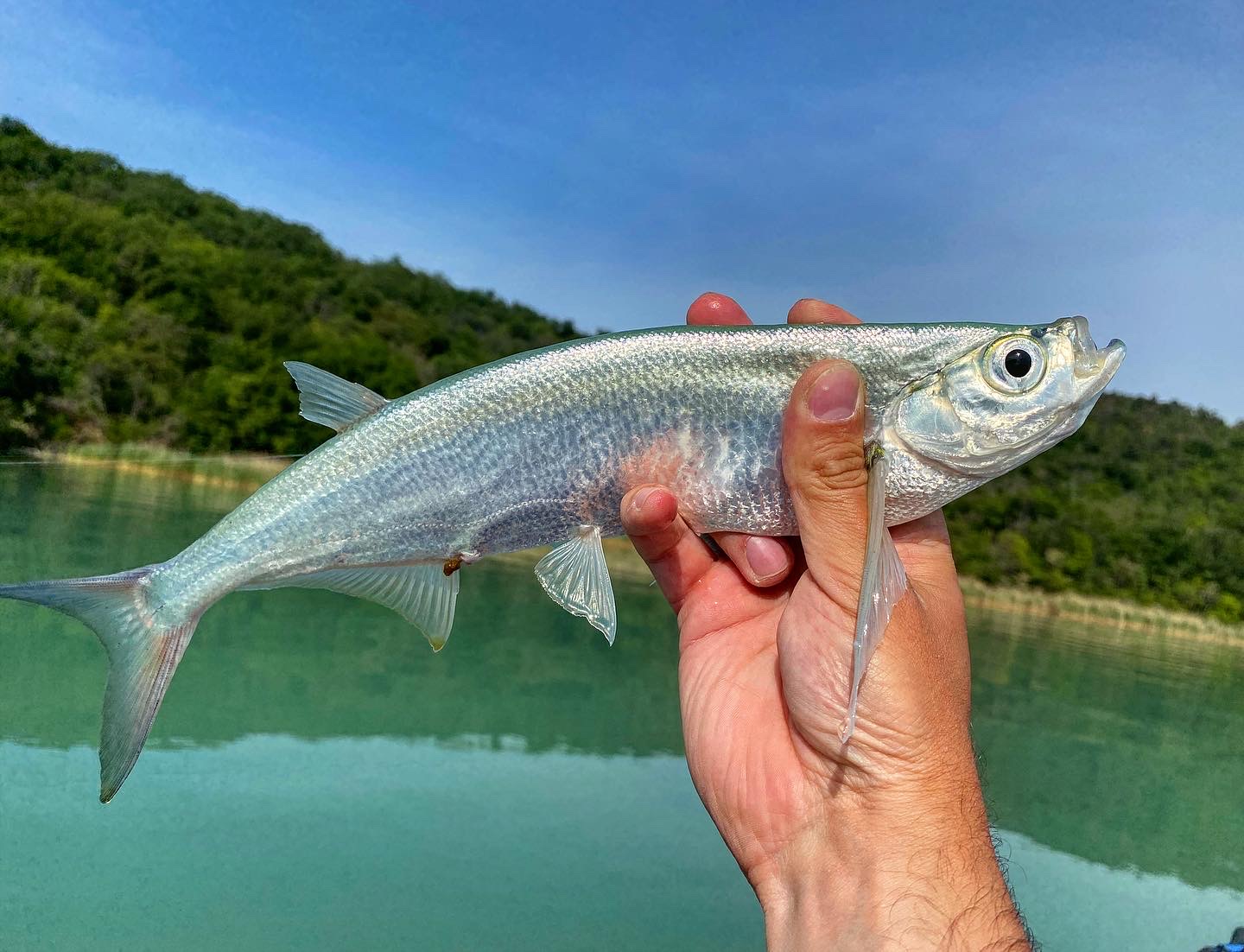 Tanta Háború: Szívószál a Balatonon 15 Tanta Háború: Szívószál a Balatonon 15