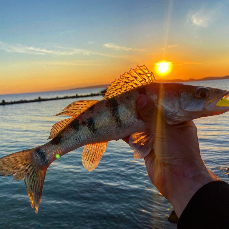 Read more about the article Tanta Háború: Szívószál a Balatonon